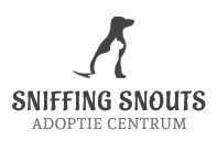 logo sniffing Snouts 1