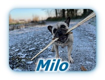 Milo