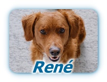 Rene