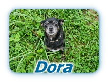 Dora